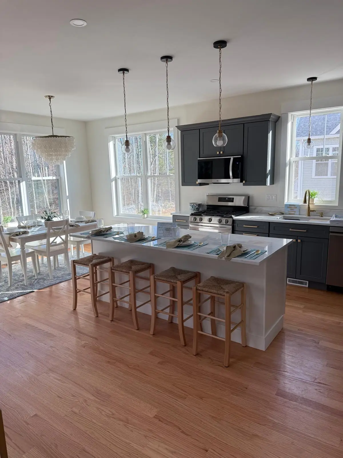 Laconia NH FINISH(12)